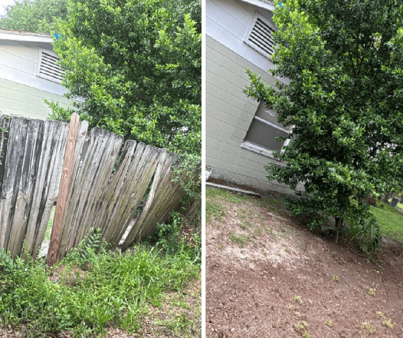 Before and after fence removal