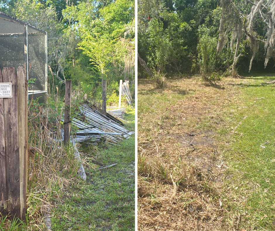 Old wooden fence removal and cleanup in Tampa Bay