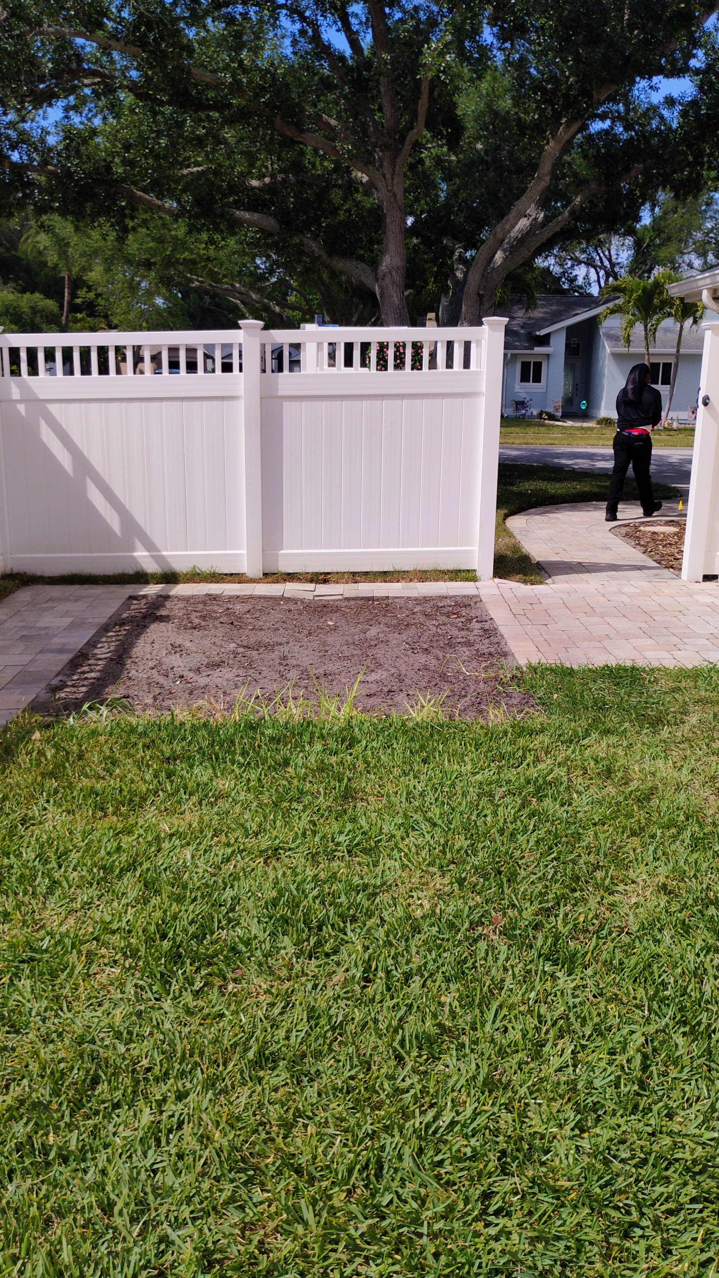 Clean yard after shed removal