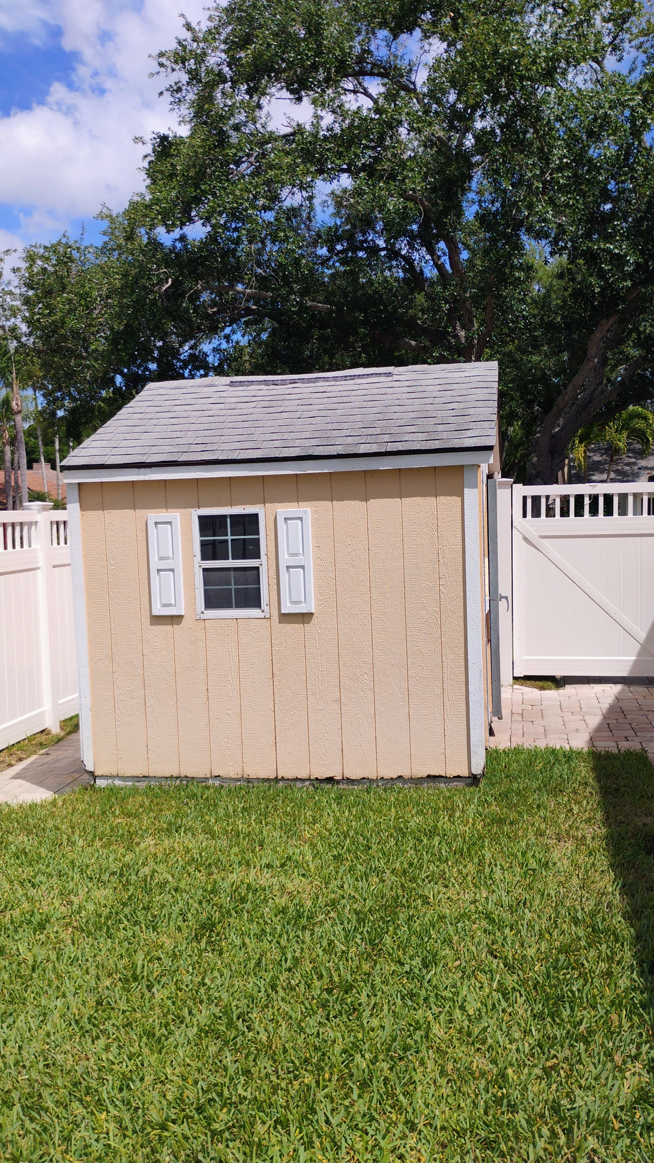 Tan shed before removal